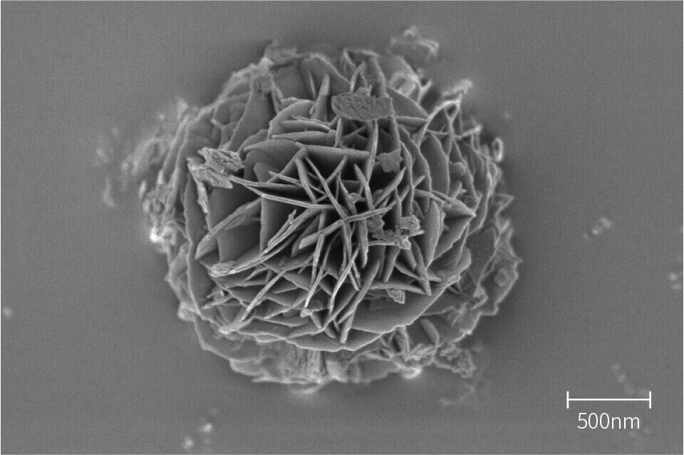 صور تحليل sem - Nanoflower