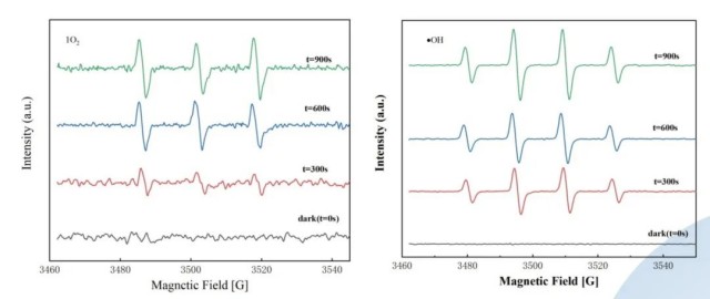 EPR in UVClO2 based advanced oxidation technology