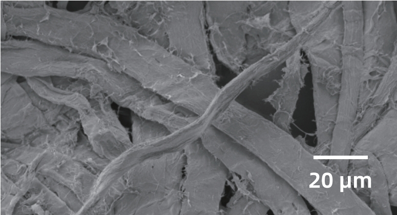 polymer fiber samples, high excitation voltages