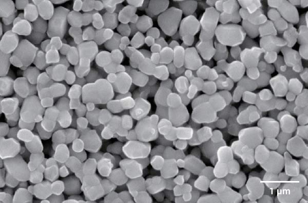 sem image analysis Powder - Barium Titanate