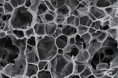 sem image analysis Polymer foam