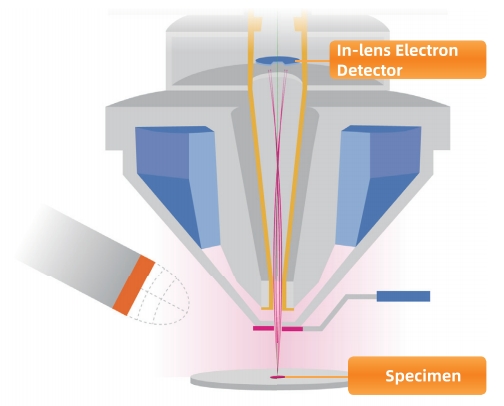 SEM In-lens Electron Detector