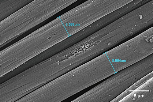 sem image analysis Textile Fibers