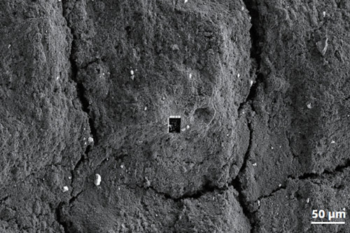 sem image analysis Surface Processing Location of Proton Exchange Membranes