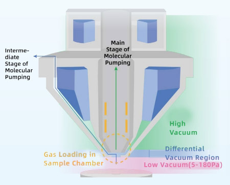 SEM Low Vacuum Mode