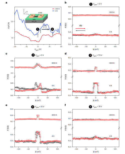 Figure 2. Magnetic transport characteristics of a 9 nm-wide zGNR device embedded in hBN